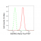 KD-Validated GEMIN2 Rabbit mAb (20 μl)