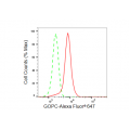 KD-Validated GOPC Rabbit mAb (20 μl)
