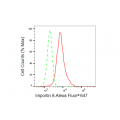 KD-Validated IPO9 Rabbit mAb (20 μl)
