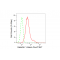 KD-Validated LGALS1 Rabbit mAb (20 μl)