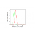 KD-Validated HRAS Rabbit mAb (20 μl)