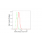 KD-Validated HRAS Rabbit mAb (20 μl)
