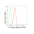 KD-Validated F11R Rabbit mAb (20 μl)