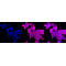 KD-Validated F11R Rabbit mAb (20 μl)