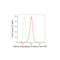 KD-Validated HDAC6 Rabbit mAb (20 μl)