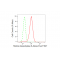 KD-Validated HDAC6 Rabbit mAb (20 μl)