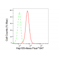 KD-Validated Hsp105 Rabbit mAb (20 μl)