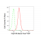 KD-Validated Hsp105 Rabbit mAb (20 μl)