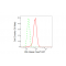 KD-Validated IDE Rabbit mAb (20 μl)
