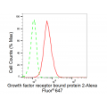 KD-Validated GRB2 Rabbit mAb (20 μl)