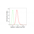KD-Validated Galectin 1 Rabbit mAb (20 μl)