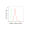 KD-Validated Galectin 1 Rabbit mAb (20 μl)