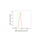 KD-Validated KSR1 Rabbit mAb (20 μl)