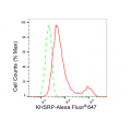 KD-Validated KHSRP Rabbit mAb (20 μl)