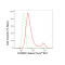 KD-Validated KHSRP Rabbit mAb (20 μl)