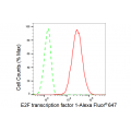 KD-Validated E2F1 Rabbit mAb (20 μl)