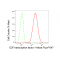 KD-Validated E2F1 Rabbit mAb (20 μl)