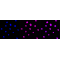 KD-Validated E2F1 Rabbit mAb (20 μl)