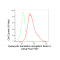 KD-Validated EEF2 Rabbit mAb (20 μl)