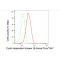 KD-Validated CDK16 Rabbit mAb (20 μl)