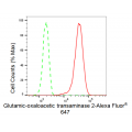KD-Validated GOT2 Rabbit mAb (20 μl)