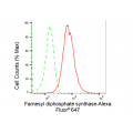 KD-Validated FDPS Rabbit mAb (20 μl)