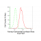 KD-Validated FDPS Rabbit mAb (20 μl)