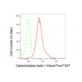 KD-Validated GLB1 Rabbit mAb (20 μl)