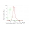 KD-Validated GLB1 Rabbit mAb (20 μl)