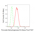 KD-Validated PDCE2 Rabbit mAb (20 μl)