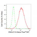 KD-Validated DNAJC12 Rabbit mAb (20 μl)
