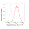 KD-Validated DNAJC12 Rabbit mAb (20 μl)