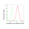 KD-Validated FOXO4 Rabbit mAb (20 μl)