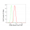 KD-Validated CD46 Rabbit mAb (20 μl)