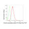 KD-Validated GAP43 Rabbit mAb (20 μl)