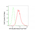 KD-Validated NF-kB p65 Rabbit mAb (20 μl)