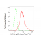 KD-Validated NF-kB p65 Rabbit mAb (20 μl)