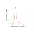 KD-Validated HDAC3 Rabbit mAb (20 μl)