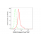 KD-Validated HDAC3 Rabbit mAb (20 μl)