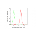 KD-Validated HDAC4 Rabbit mAb (20 μl)