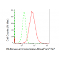 KD-Validated GLNS Rabbit mAb (20 μl)
