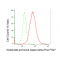 KD-Validated GLNS Rabbit mAb (20 μl)