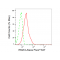 KD-Validated IRAK3 Rabbit mAb (20 μl)