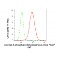 KD-Validated G6PD Rabbit mAb (20 μl)