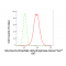 KD-Validated G6PD Rabbit mAb (20 μl)