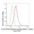 KD-Validated GRSF1 Rabbit mAb (20 μl)