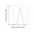 KD-Validated PCAF Rabbit mAb (20 μl)