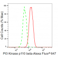 KD-Validated PI3KCB Rabbit mAb (20 μl)