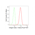 KD-Validated CD29 Rabbit mAb (20 μl)