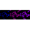 KD-Validated CD29 Rabbit mAb (20 μl)